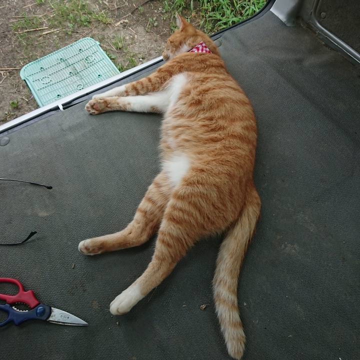 12c5e0d1 b8f5 4205 8f2a dbbc0b85ee78 1597388176689