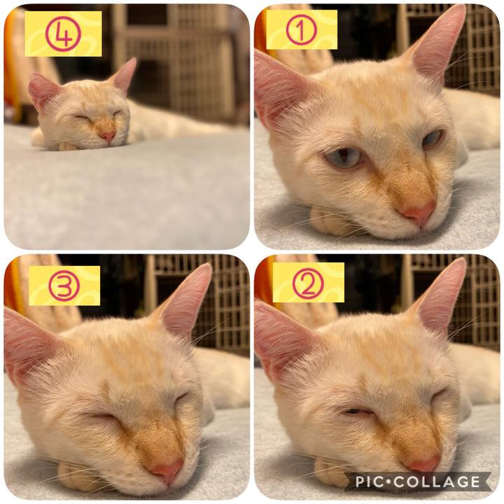 12c5e1d4 e0f8 468a bb79 df42f84f56e2 1601820780309