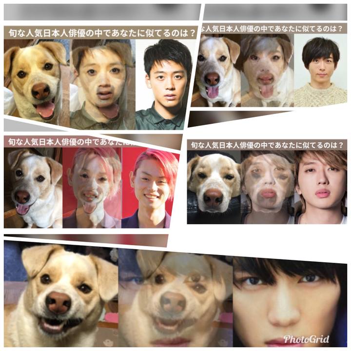 12c62738 cfe0 4c71 bb84 54cc75ad3605 1528729396963