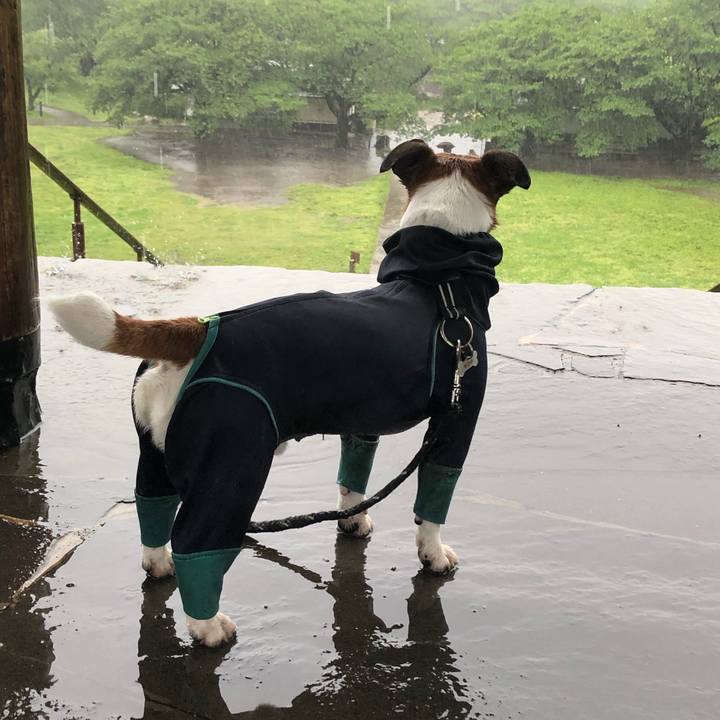 12c63320 8c6b 4788 a0a6 abece4e0102c 1558392203761