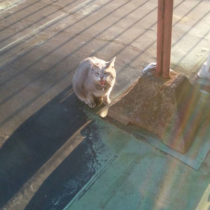 12c678e8 530a 4acf 88f4 d9d3e5256f01 1573973218643