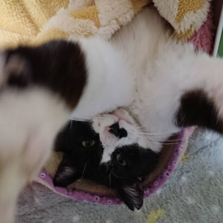 12c6c26c 6fe4 4377 ab8f 7f0193c2929d 1580477656495