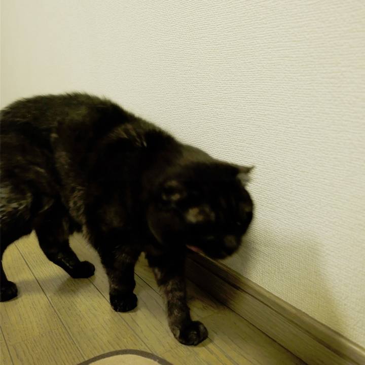 12c6d666 0ff3 46d1 88fb 926523c90987 1641485599001