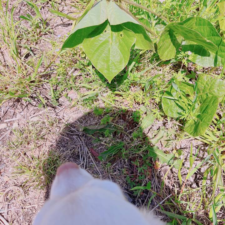 12c6d92e 4624 43f6 9ad7 7a88f9c1e34e 1682585050461