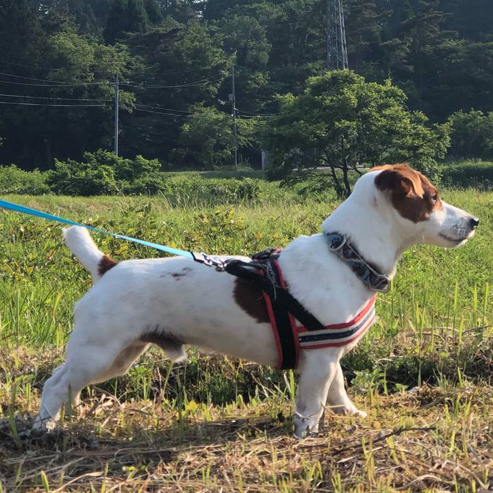 12c716e8 13c3 4437 bfee 5837113e6850 1559469209109