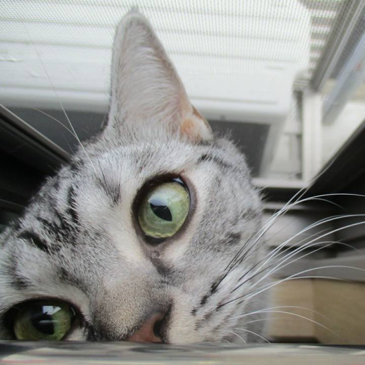 12c71d9f f40a 47c0 b7ca 4d1c78797627 1569052740407