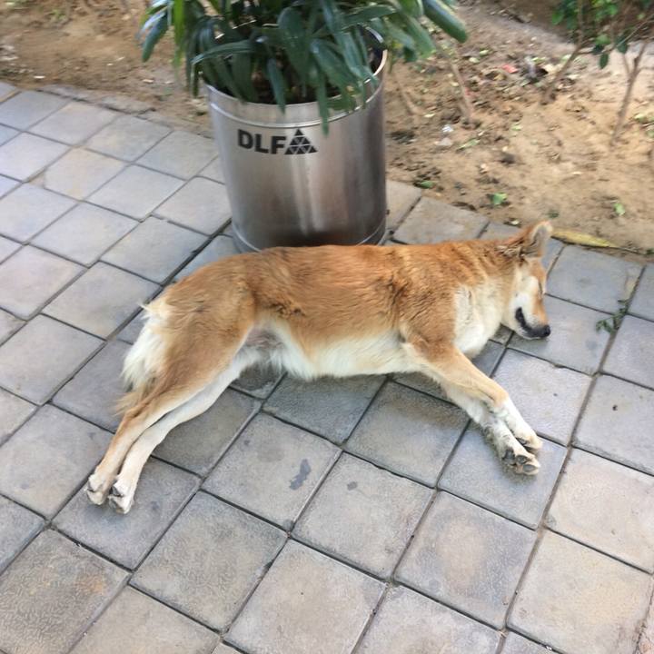 12c74345 42ed 4775 b379 72340380adfa 1554249257339