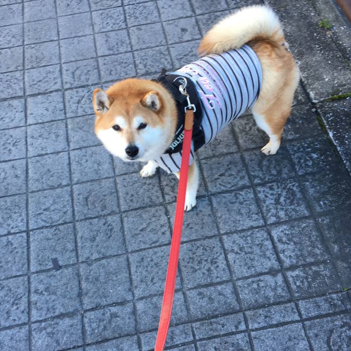 12c7440a 4acb 43b9 affd 8f9d7fb360b5 1608164846224