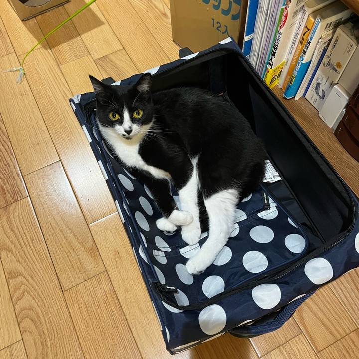 12c7499c 2fe2 4c64 857a 699fb86b05cf 1683037005146