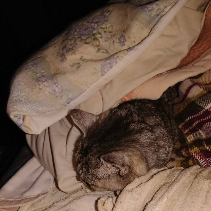 12c74ddf f0e1 4008 82e5 f8ca472fd9d0 1576269444027