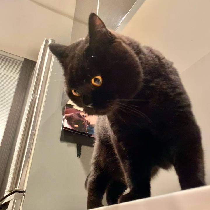 12c74e7e ea4c 46f1 8e55 49b3c4d2ac6f 1694432173397