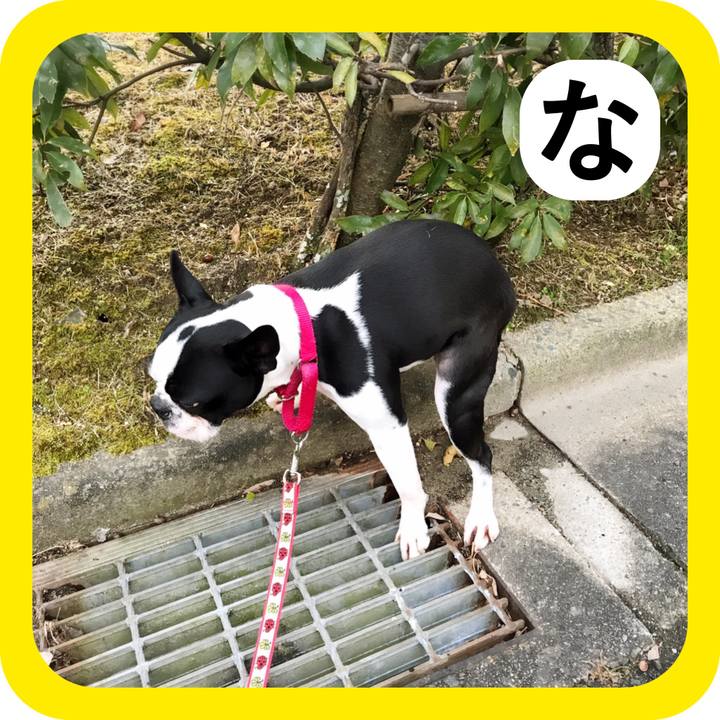 12c7616a 1c28 4b56 9a42 63f4227b1756 1515327919345