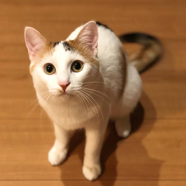 12c7f052 9933 4cb4 b767 eefc780f975a 1555588657310