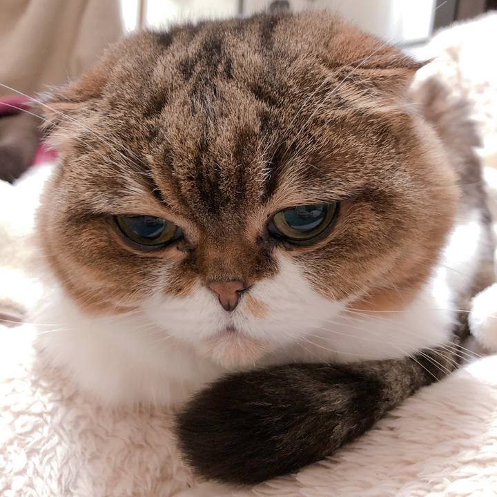 12c877df 19c2 4e41 a307 e309a98f9117 1552565755105