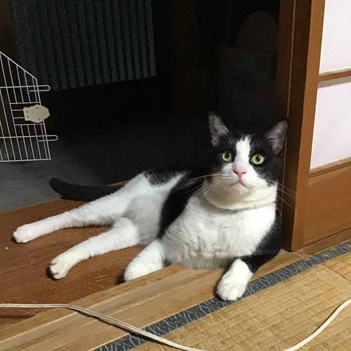 12c887ba 3418 4d10 a856 1cf9d7f96c95 1725959159339