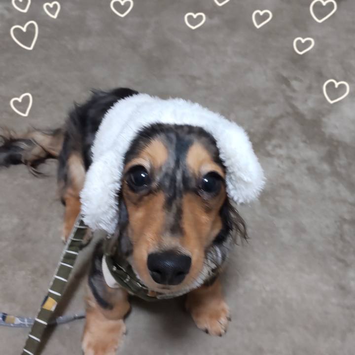 12c89179 3627 4496 bd05 7a2e76557338 1707954160560