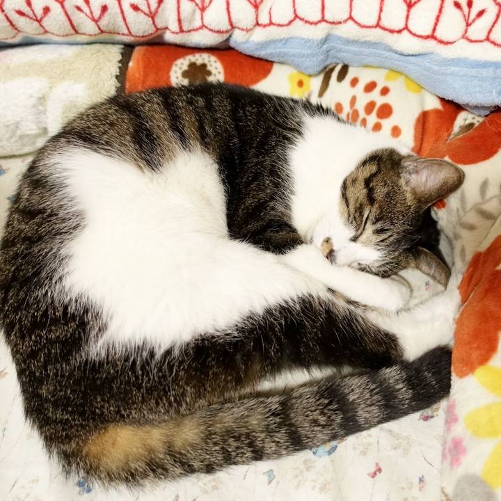 12c8aea3 3675 4f30 9bbb 3ee488c10490 1769926361338