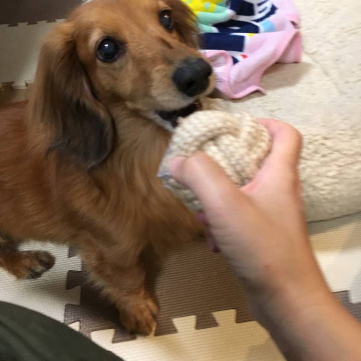 12c8da94 927a 4bf7 a373 f2a56e74a9e2 1553692464641