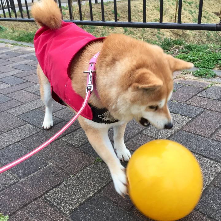 12c8ffd4 72b0 4f50 965e 5d17033d07d0 1521608681978