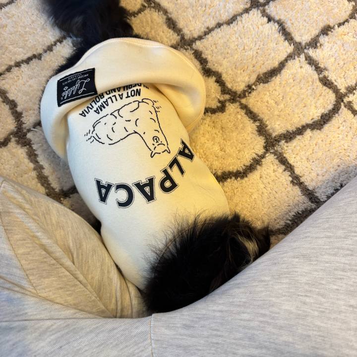 12c90107 3a4f 42fa 9936 a1d8b881e09c 1733587869475