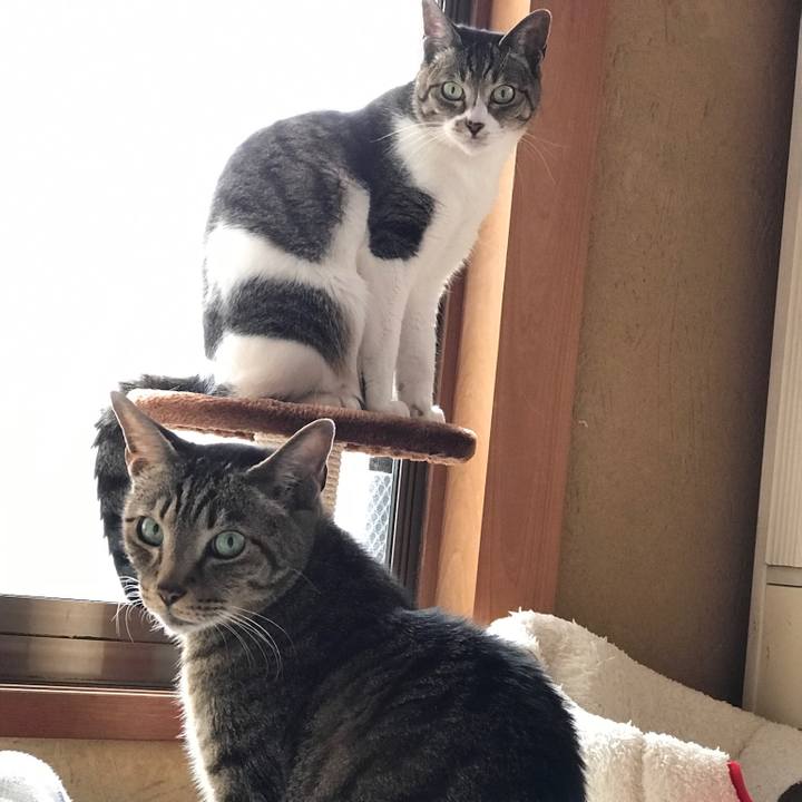 12c9449c ff60 4582 bb91 7c60a4d77ab6 1526002276813