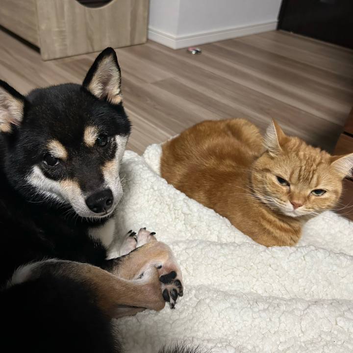 12c9dc80 3503 4040 84b1 6e808d87ed02 1703889992084