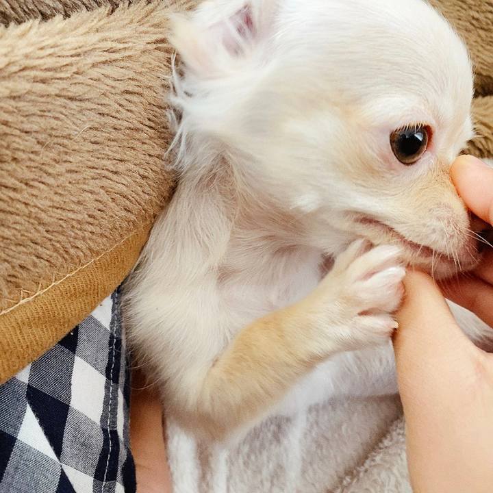 12ca4473 0338 42df ac49 aac6cfa35ce6 1591324400103