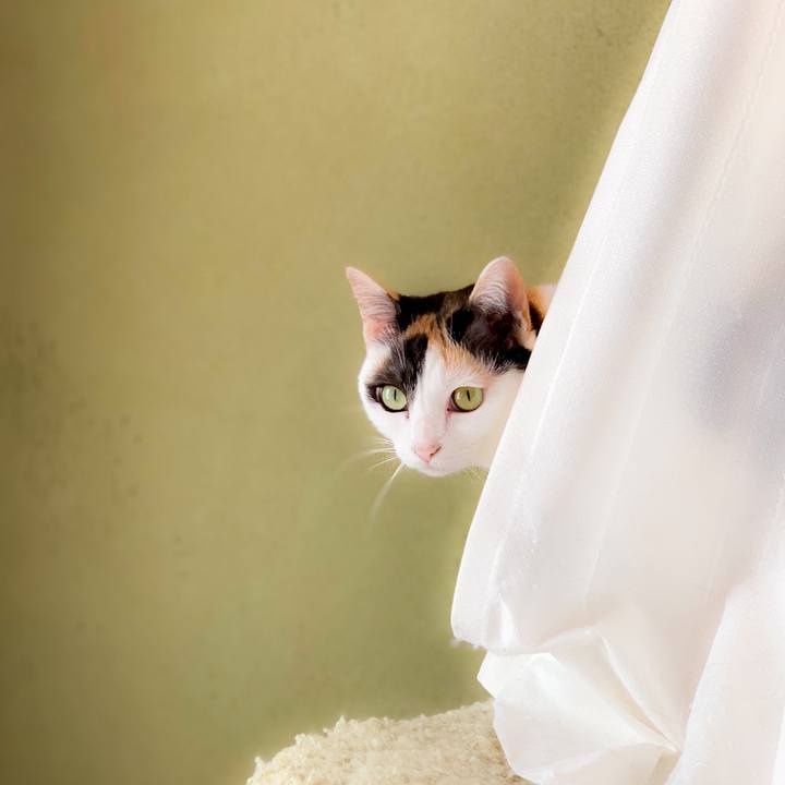 12ca99ee 6ac9 468b 87b9 d357fd061d26 1563930581698