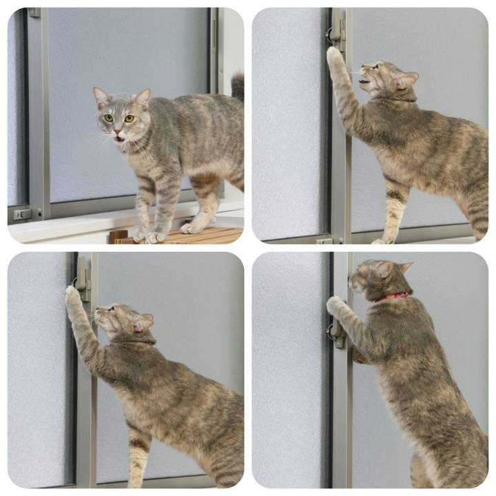 12caa8e6 54a6 4d8f ad22 84c5890b645e 1516624813241