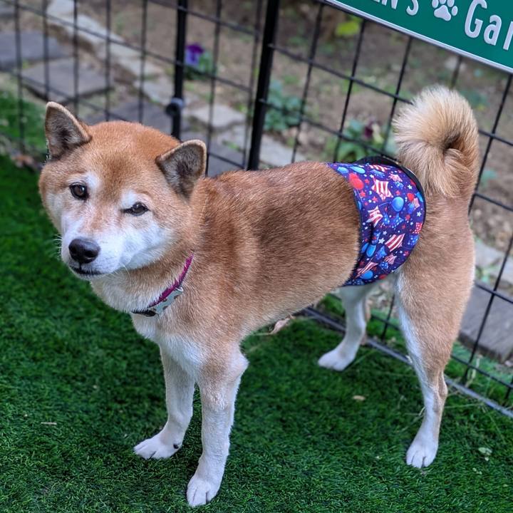 12cabf64 c90b 4337 8438 410d487cb0d8 1734187895089