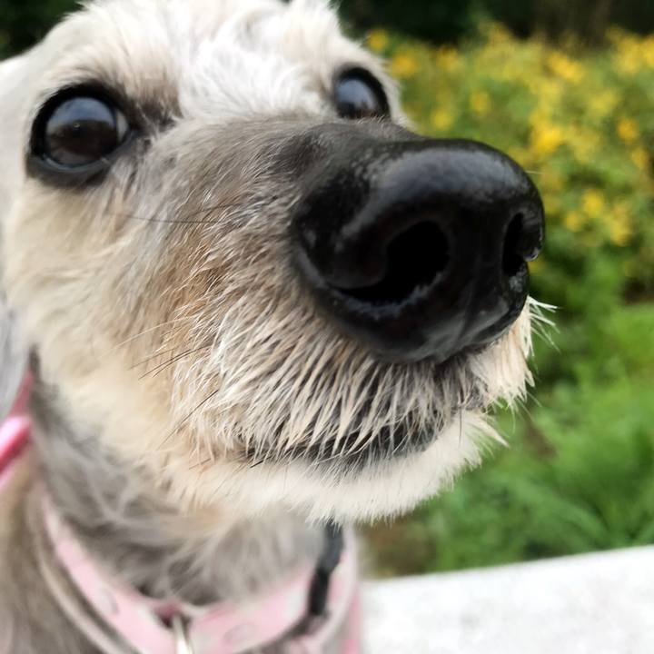 12cac0c2 fc51 4b0f aaa5 a09801afae83 1529967802387