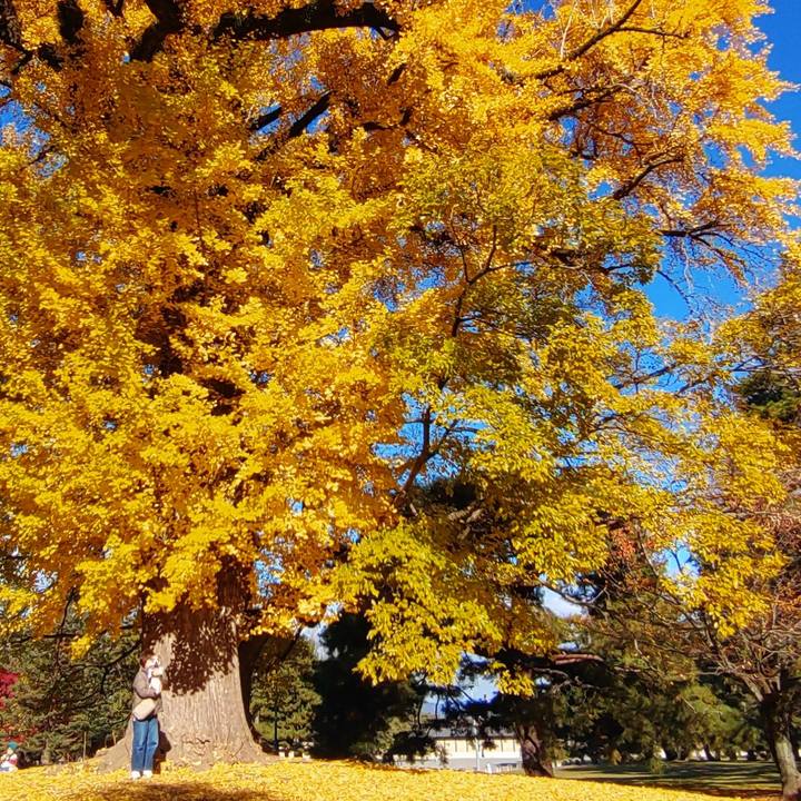 12cb17f4 1eda 4103 9c70 9f7388577455 1764385320751