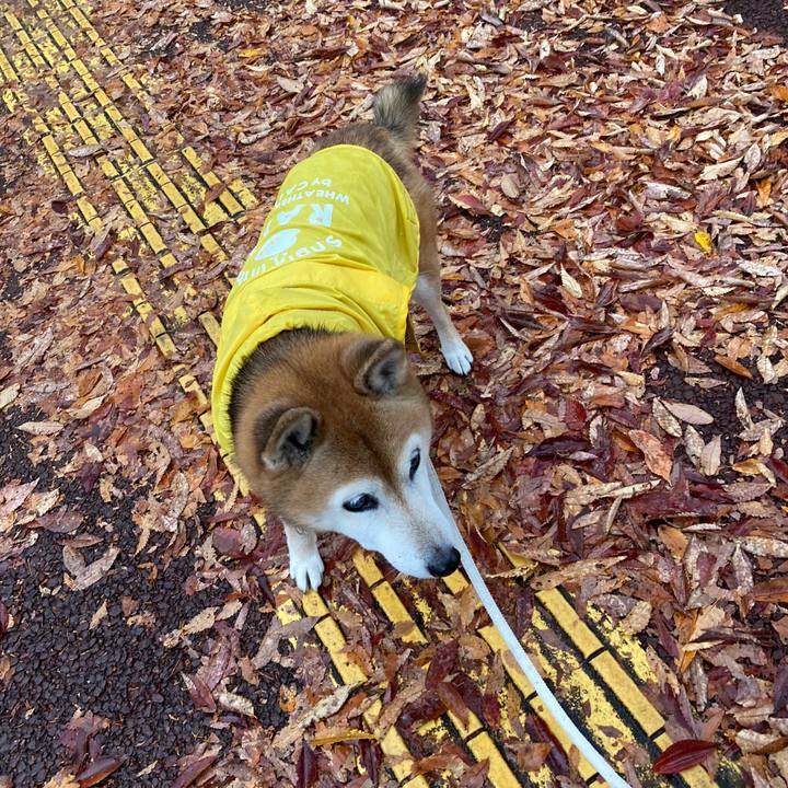 12cb5d99 573d 495c b6e1 a607ffa39bde 1764055405788