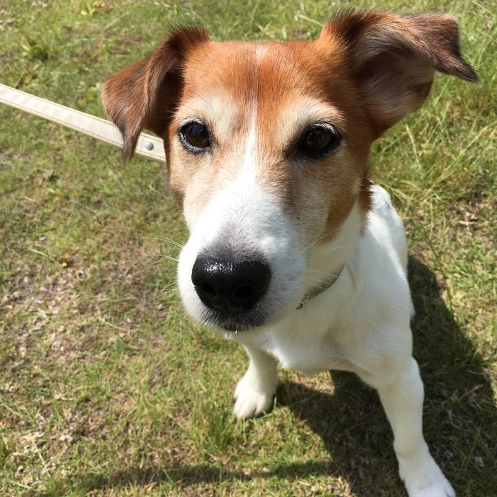 12cb84c5 22c4 4505 a7fe 7dfcce7f5721 1528810266929