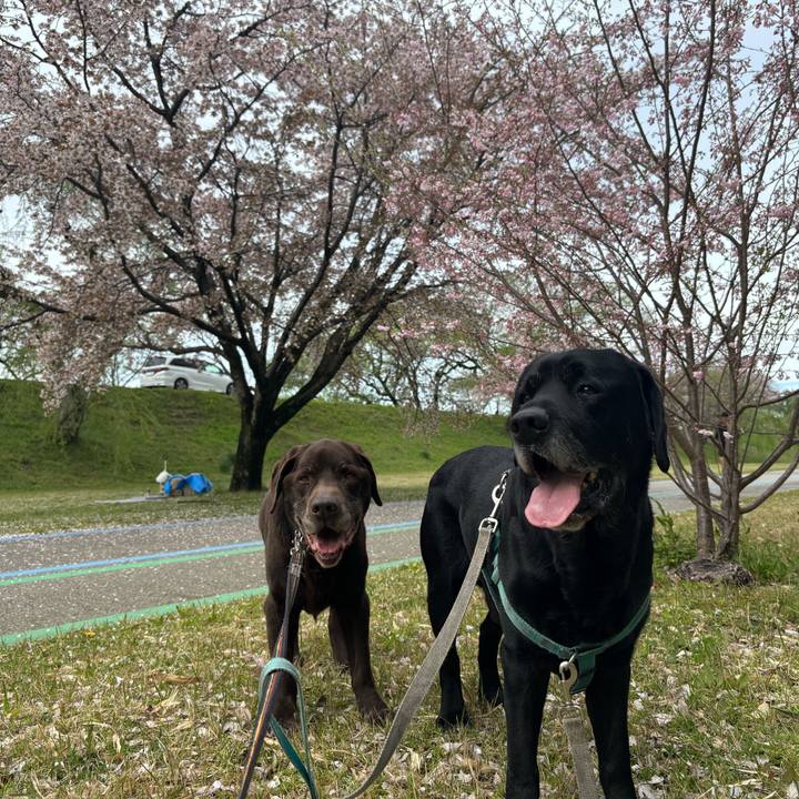 12cb8cf1 e896 4a15 b115 8f95494f91fd 1775387482037