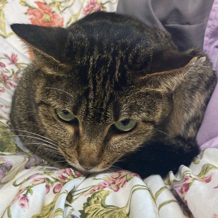 12cc3e10 0afb 4f23 812b 81d3e43c9ddb 1695567763333