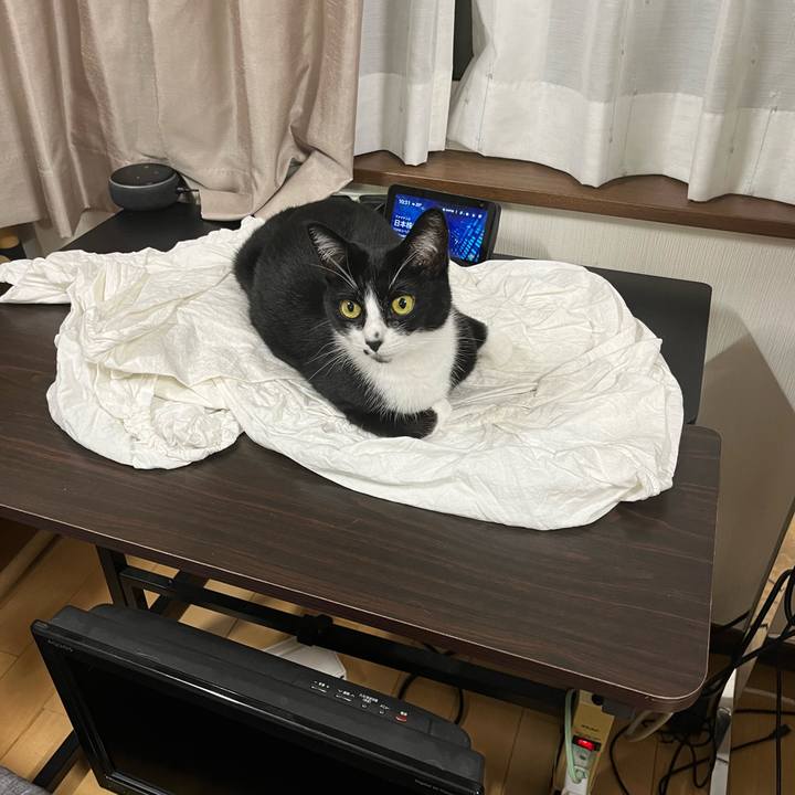 12cc47e8 117d 420f 8ec8 78a1f530cd1f 1718028360772