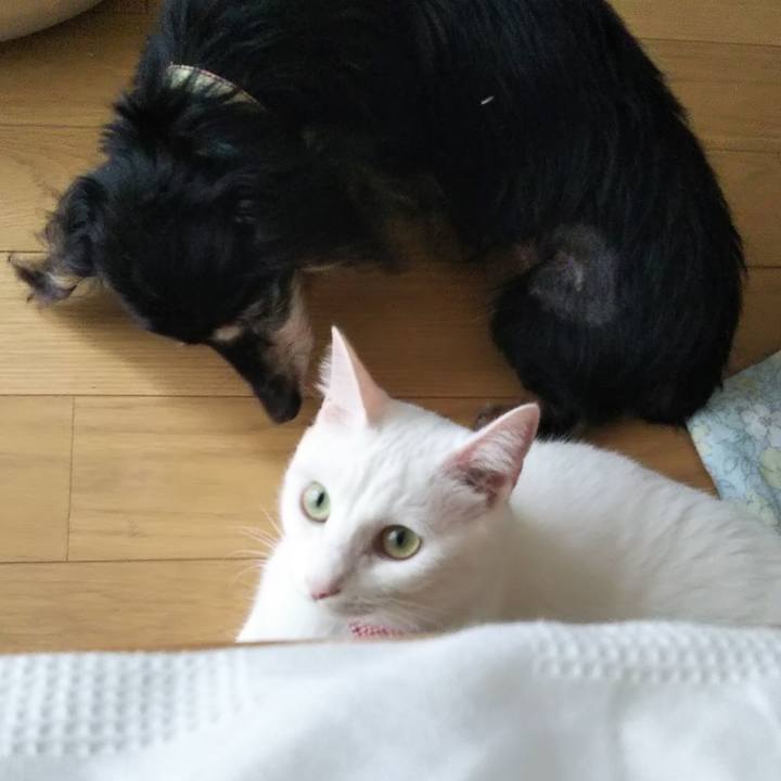 12cc4e04 babc 43b9 a1b7 e8e3e69da0f6 1637460564728