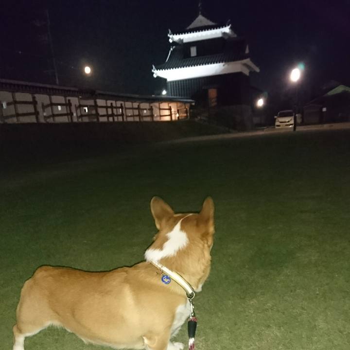 12cc59ee 4e0b 4fe1 8dce e8fb4a06e53d 1601646266024