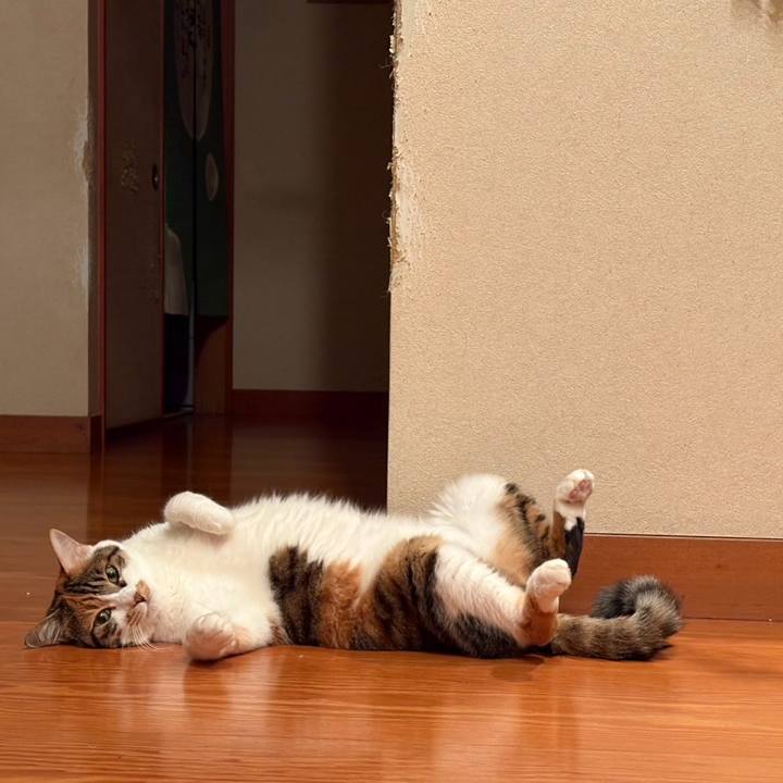 12cc8a47 3dac 4dec 96a8 a8a6939bfe69 1755172906470