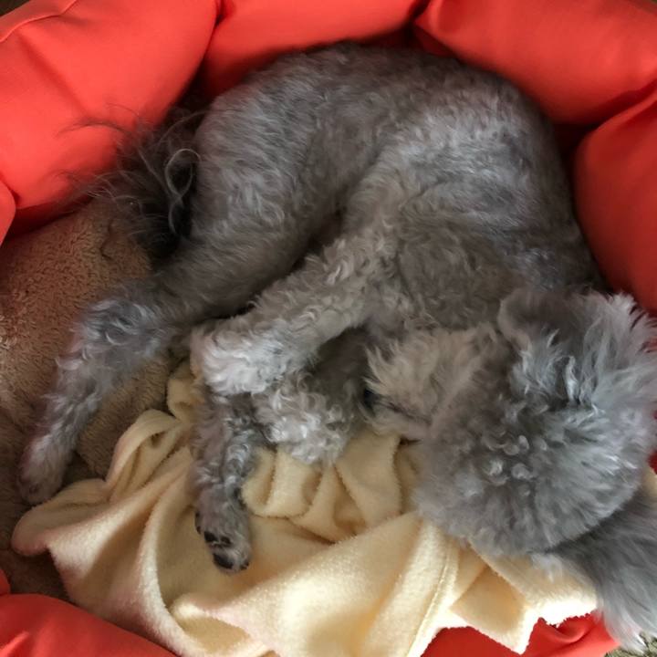 12ccec85 d7e6 4ede b1ba 4b4449bf2e51 1530142395515