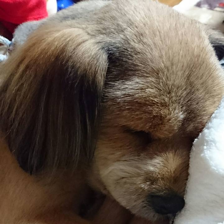 12ccf233 1f3e 4f9f ab92 0d864d25a35f 1539783184043