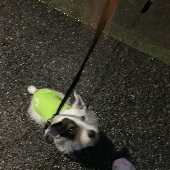 12ccf725 872a 459a 912f 696d78adf8aa 1665650097325