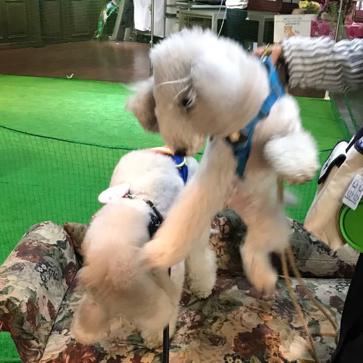 12ccf9f7 024c 44e9 aec5 47677f950275 1669195560435