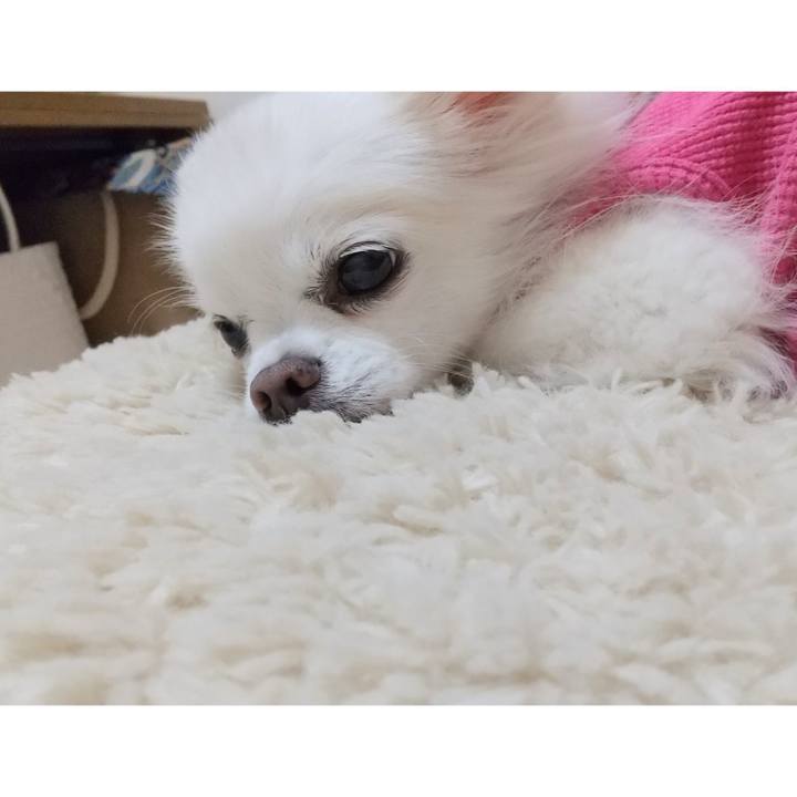 12cd602f f0f6 463f bd34 a20bdc860315 1636375186777