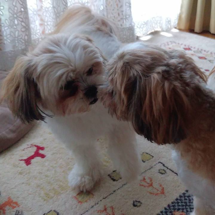 12cd8a94 3da5 4900 9c27 73a2d28fd271 1593477628775