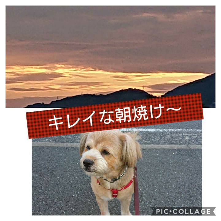 12cdc0b2 1214 4d91 a882 a7d4745eab49 1601936214113