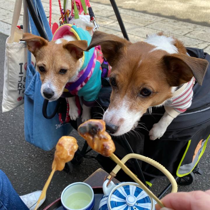 12cdca37 57b6 489f a4d0 2af920023322 1582537149250