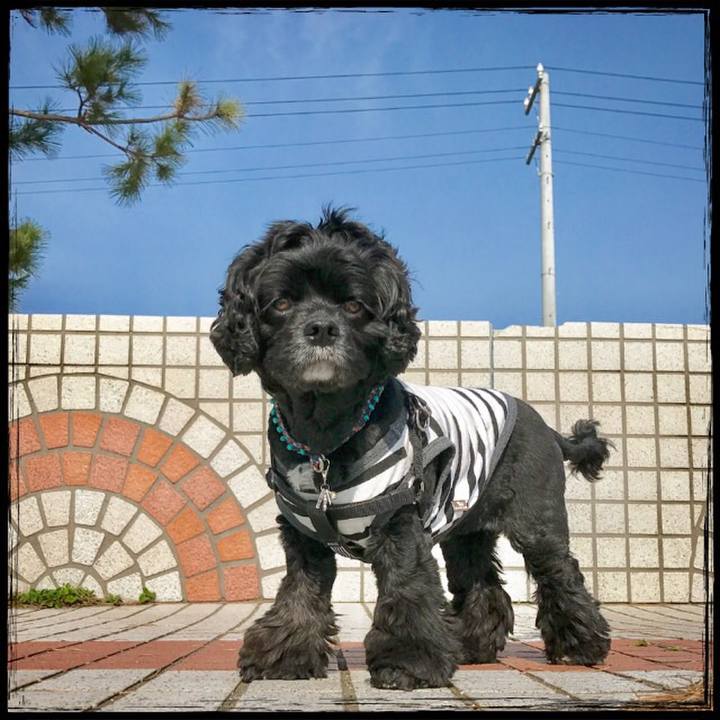 12ce409a 8d39 4f44 bad7 96a3d2bdb964 1553752077874