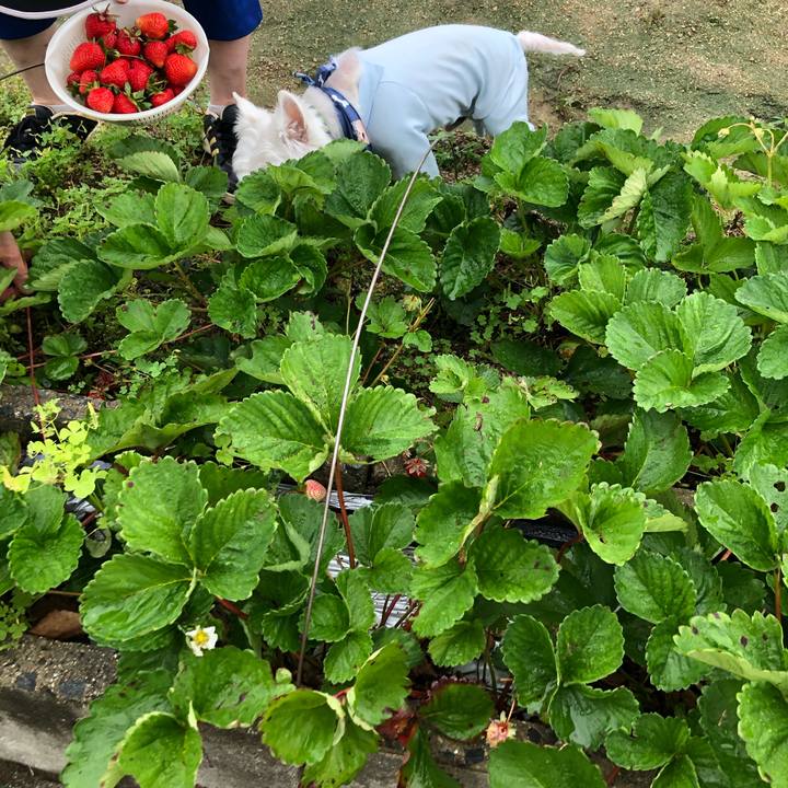 12ce5d34 3d07 4638 b1c7 0acb9b9b4fe7 1621425504019